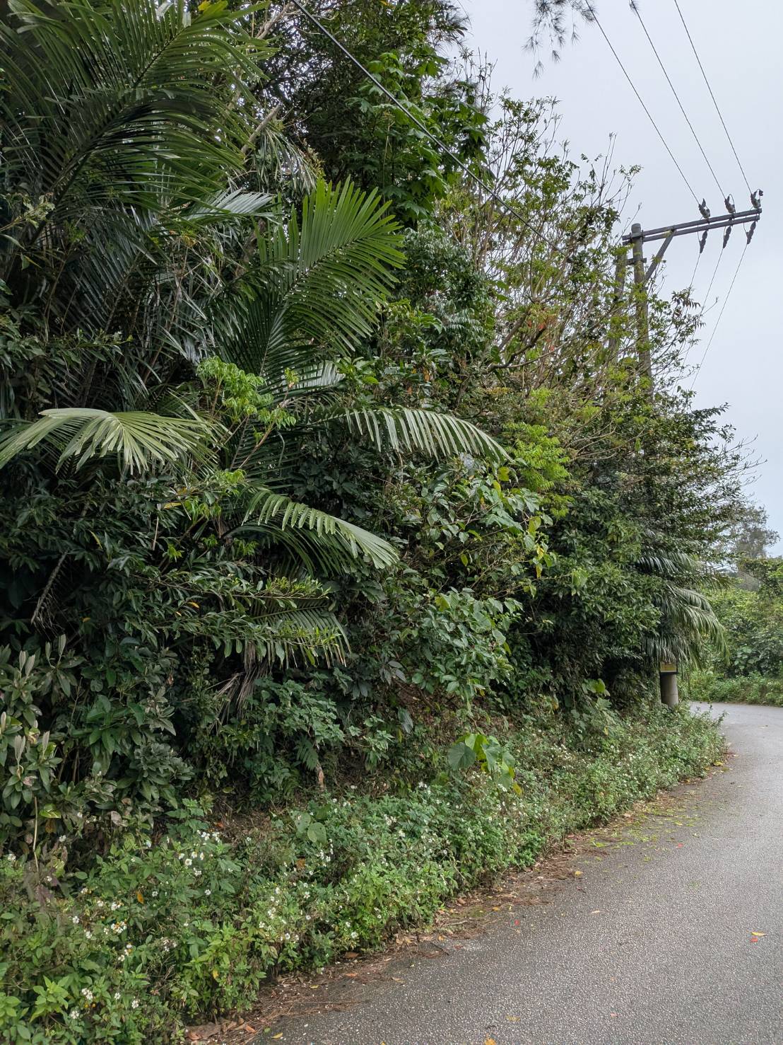 【売地】名護市字稲嶺