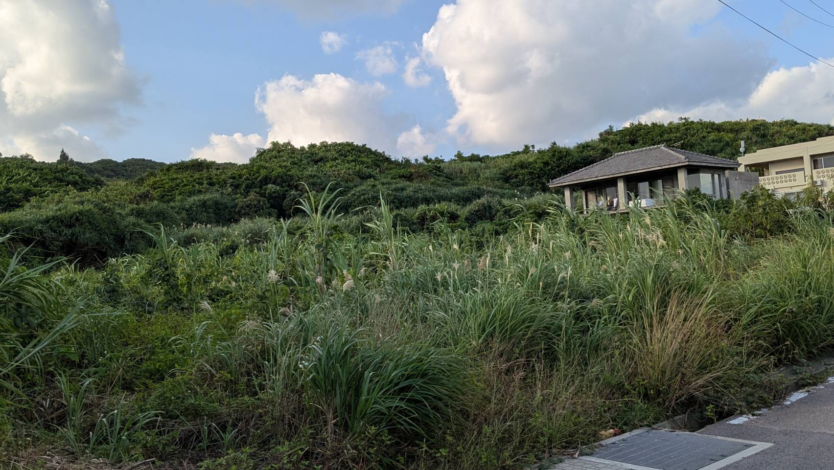 【売地】沖縄県今帰仁村古宇利島