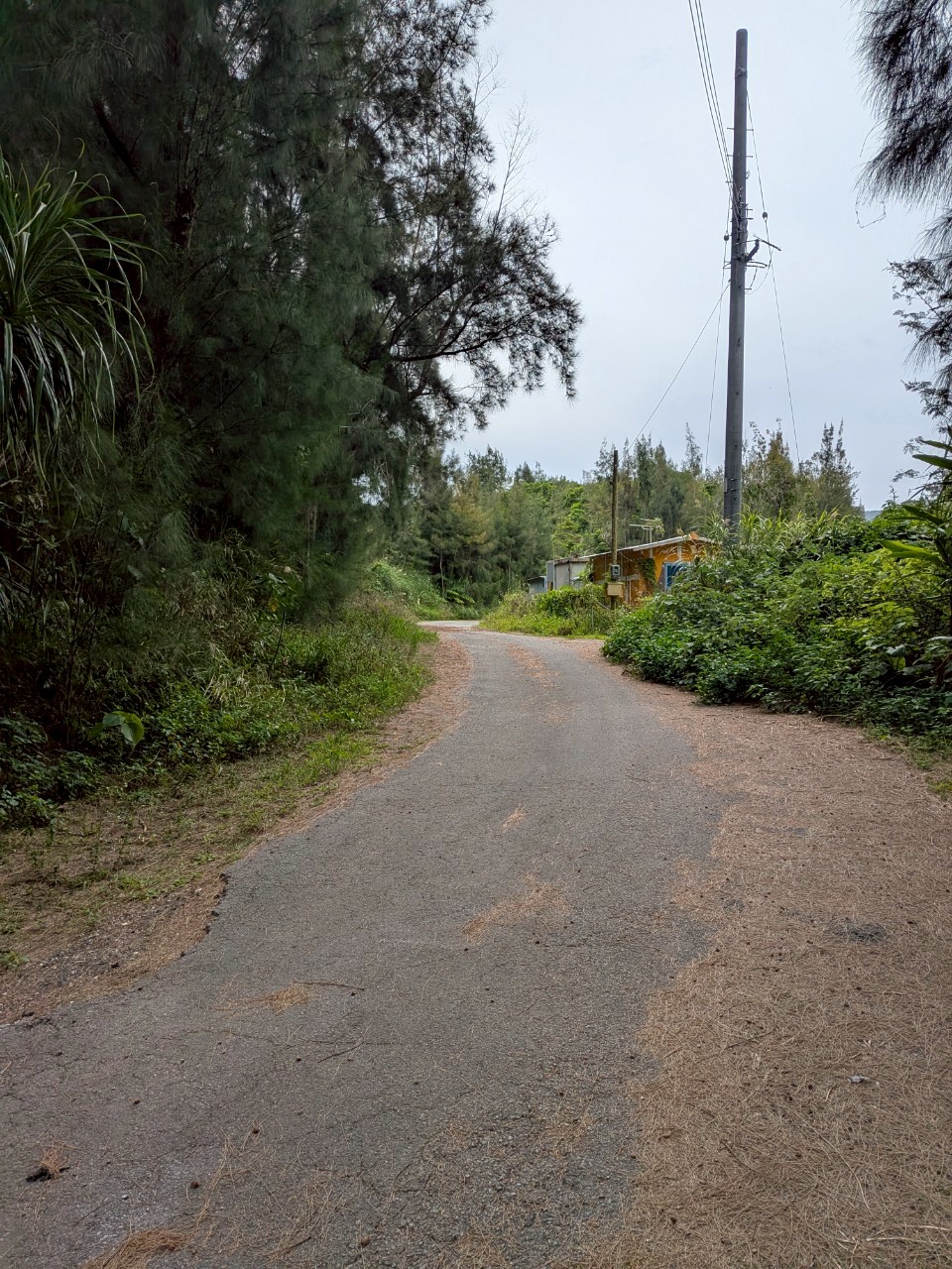 【売地】名護市リゾート用投資用物件